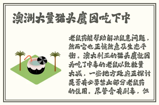 外国人XXXBBB